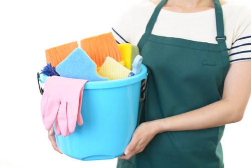 Professional oven cleaning in Belgravia with a spotless kitchen appliance