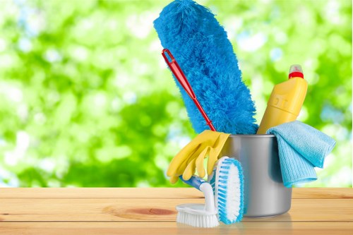 Professional home cleaners in Belgravia working in an elegant residence