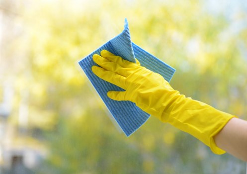 Professional sofa cleaning service for elegant upholstery in Belgravia