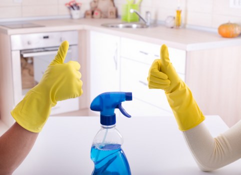 Responsible recycling and disposal for house clearance in Belgravia