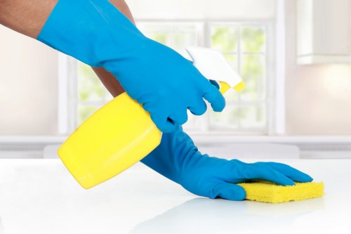 Professional office cleaners maintaining a polished workspace in Belgravia
