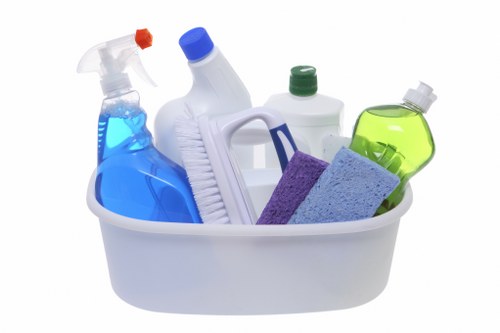 Professional carpet cleaner using PPE during service