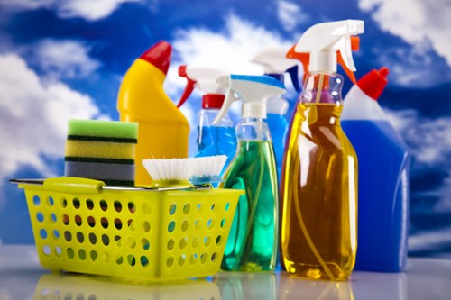 Professional carpet cleaner in Belgravia deep cleaning a luxury home carpet