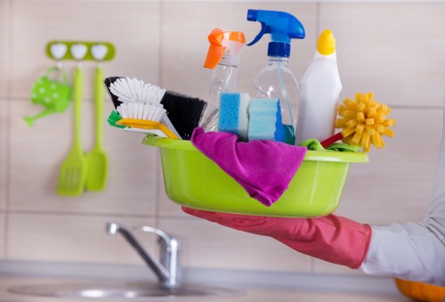 Carpet cleaning service terms and conditions introduction