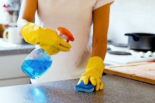 Professional window cleaning in Belgravia on elegant townhouse windows