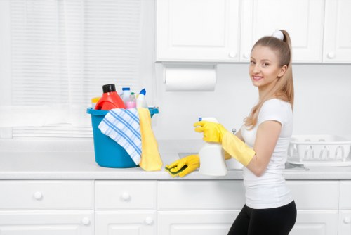 Residential window cleaning in Belgravia for a luxury home