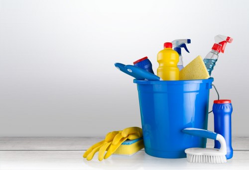 Carpet cleaning service in a luxury Belgravia apartment