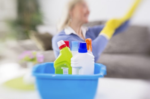 Regular domestic cleaning service in a Belgravia townhouse interior