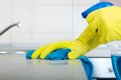 Belgravia cleaners providing deep cleaning in a luxury apartment