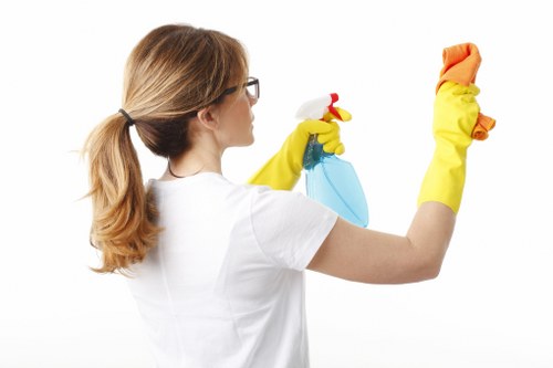 Spotless windows in Belgravia after professional cleaning