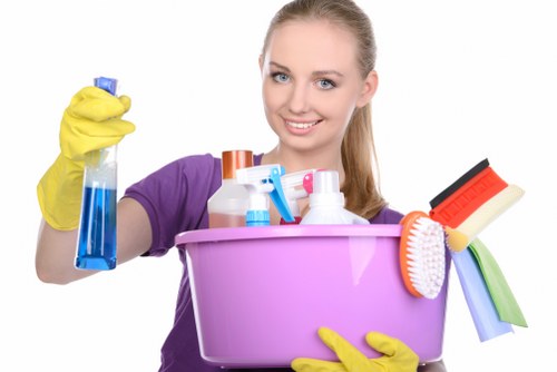 Detailed professional rug and carpet cleaning in Belgravia