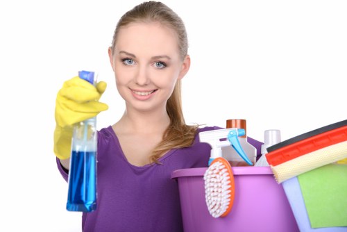 High-end kitchen appliance cleaning in a Belgravia home