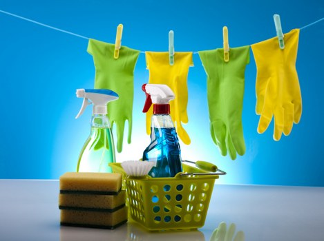 Management reviewing carpet cleaning health and safety standards